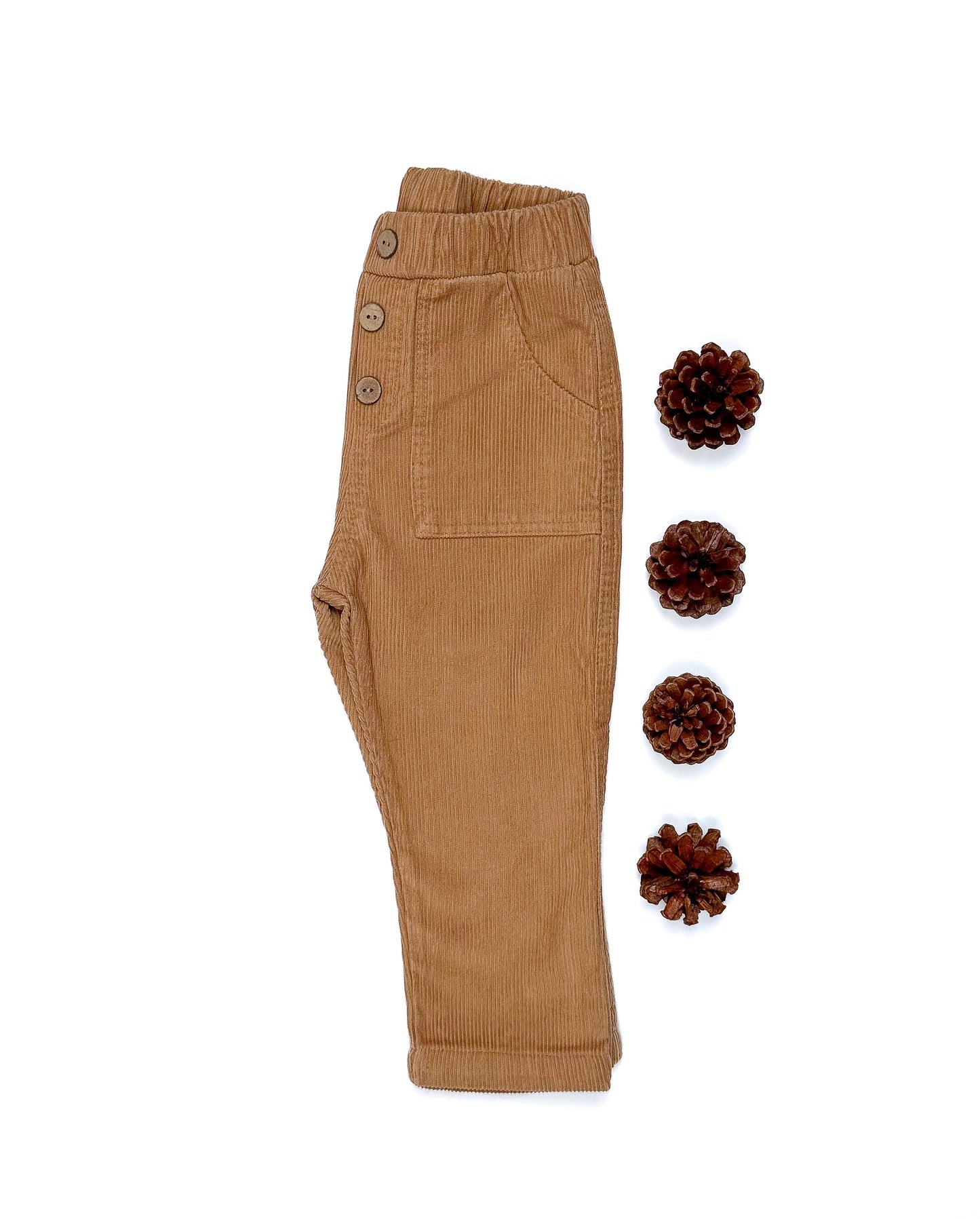 Boys Brown Corduroy Pants